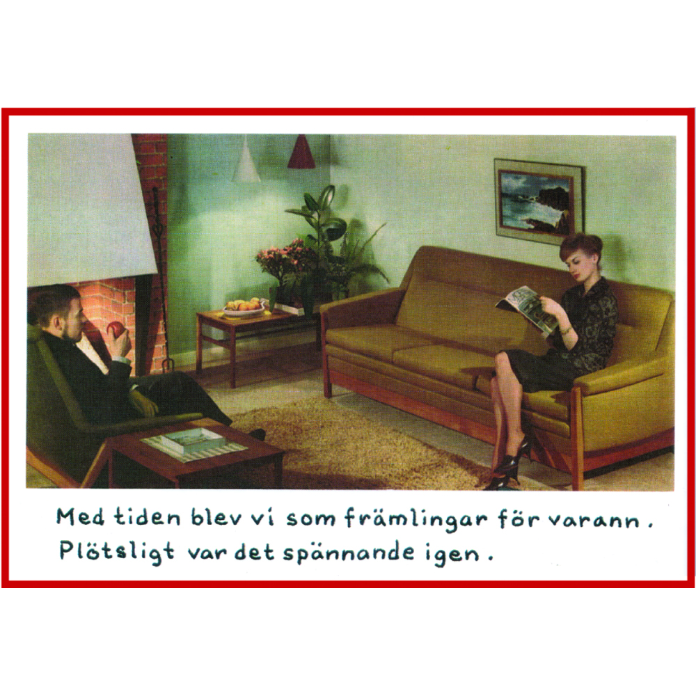 hårspännen hårspännen